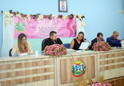 Plenrio da Cmara Municipal | 